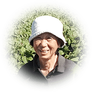 おすすめは黒豆きな粉ヨーグルト